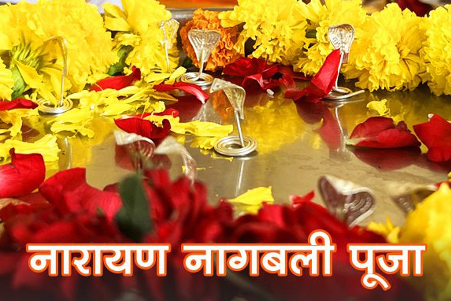 नारायण नागबली पूजा उज्जैन - पंडित विवेक शास्त्री